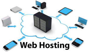 Hosting-va-domain-la-gi